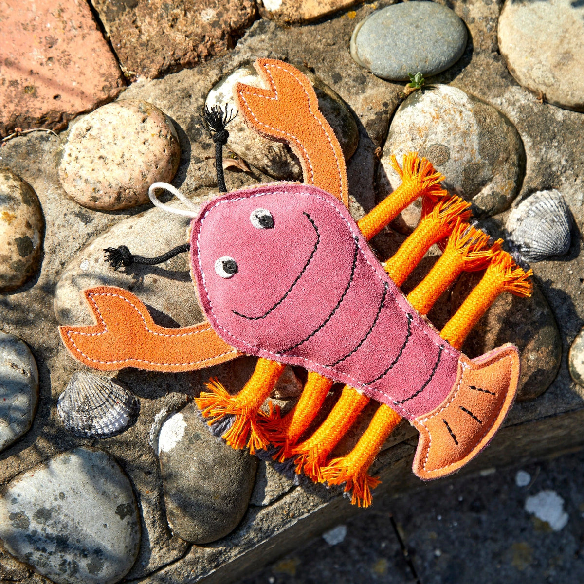 Eco Toys