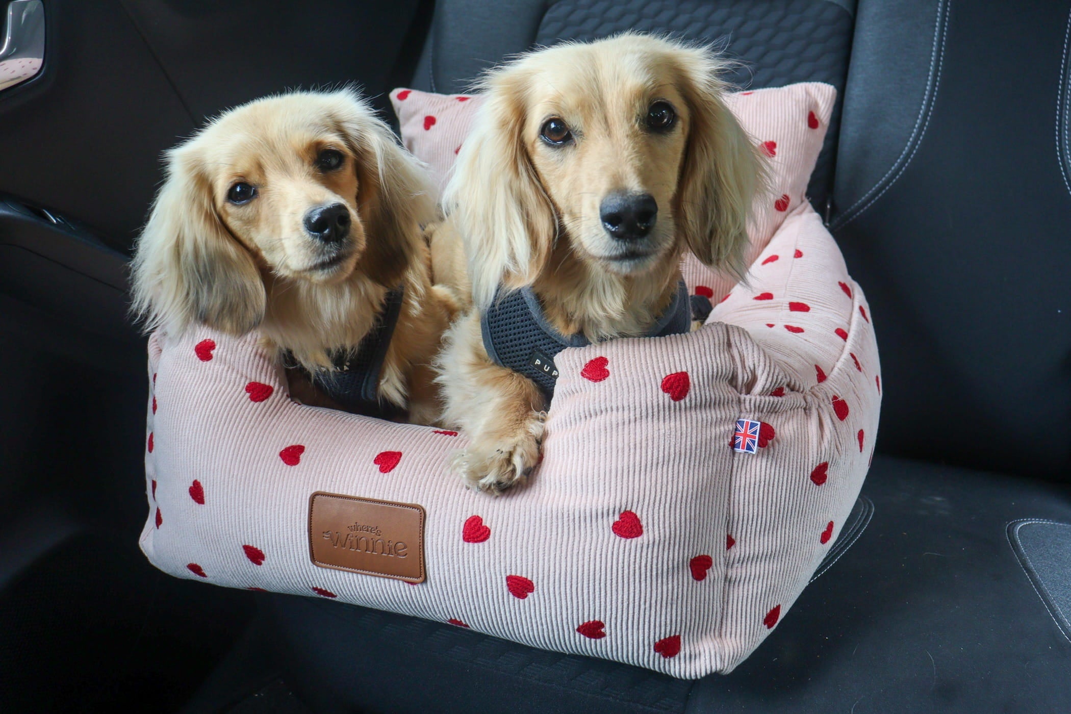 Luxury Isofix Dog Car Seat - Limited Edition Pink Hearts