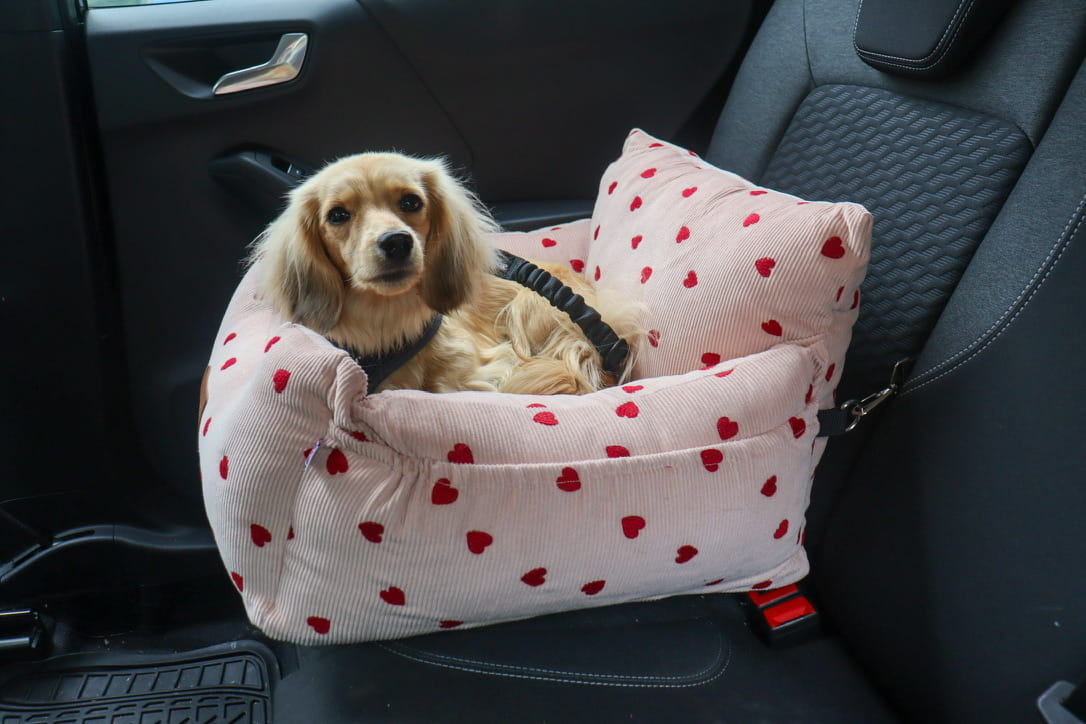 Luxury Isofix Dog Car Seat - Limited Edition Pink Hearts
