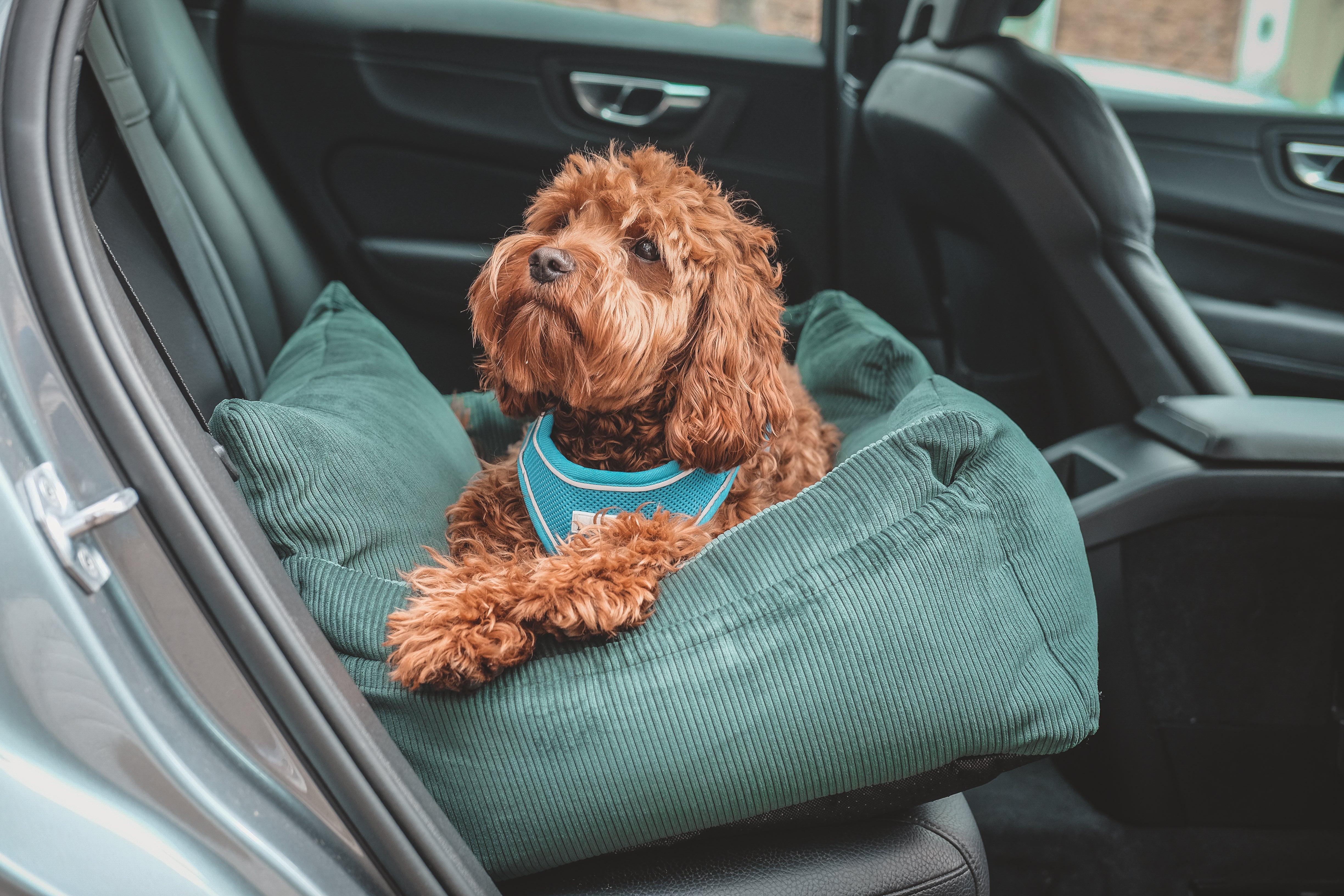 Luxury Large Dog Car Seat with Isofix