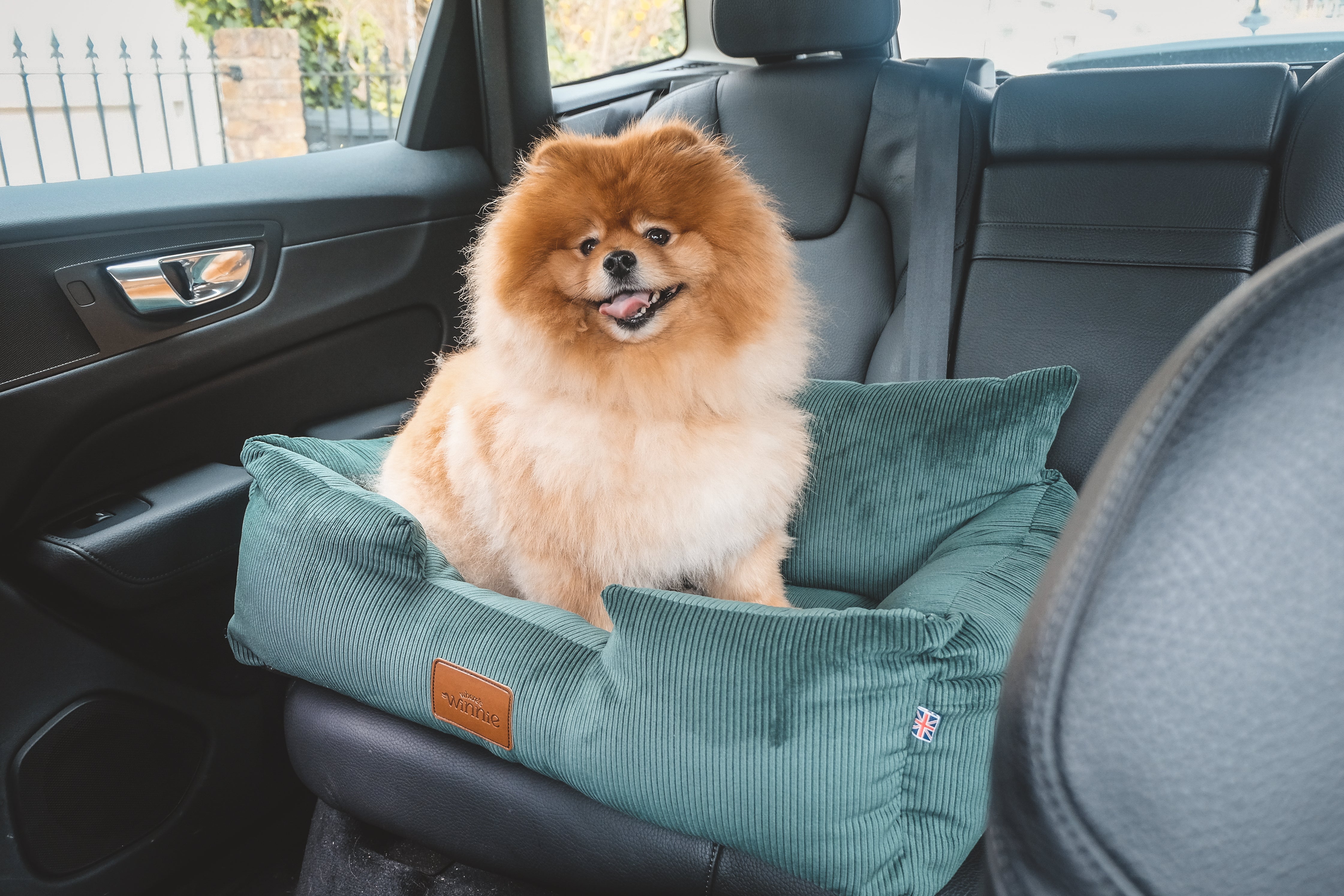 Luxury Large Dog Car Seat with Isofix