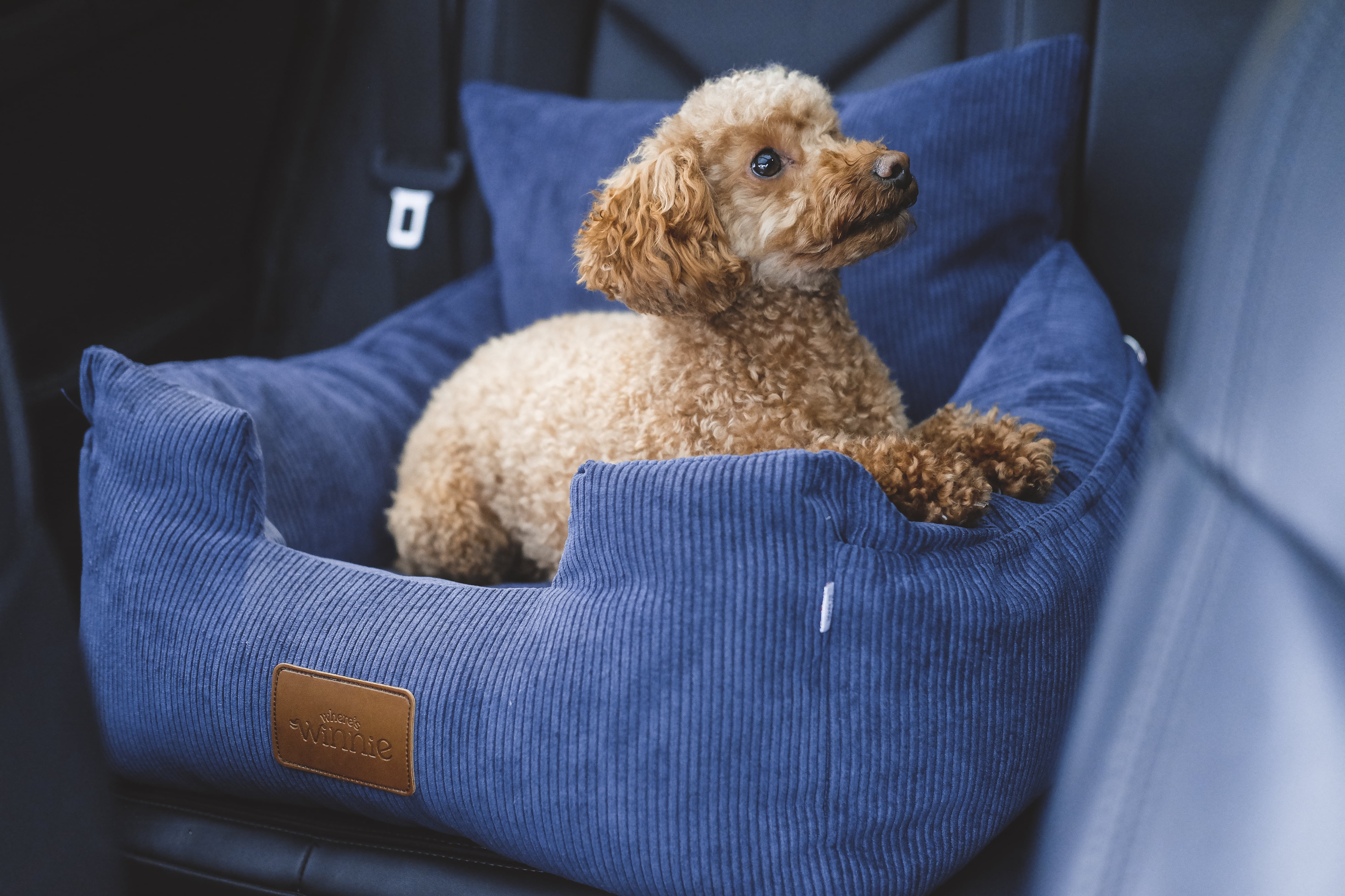 Luxury Isofix Dog Car Seat - Navy Blue