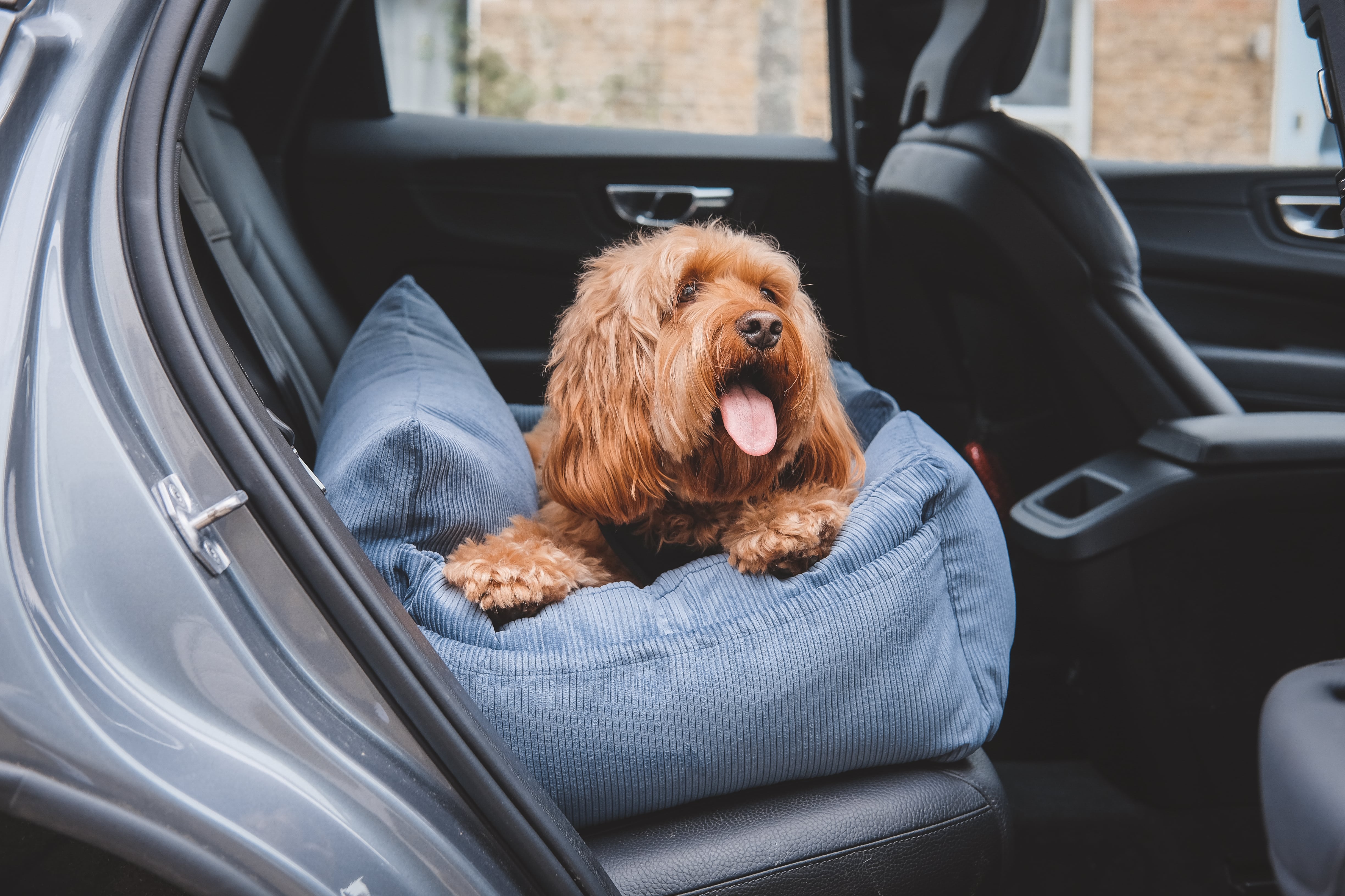 Luxury Large Dog Car Seat with Isofix