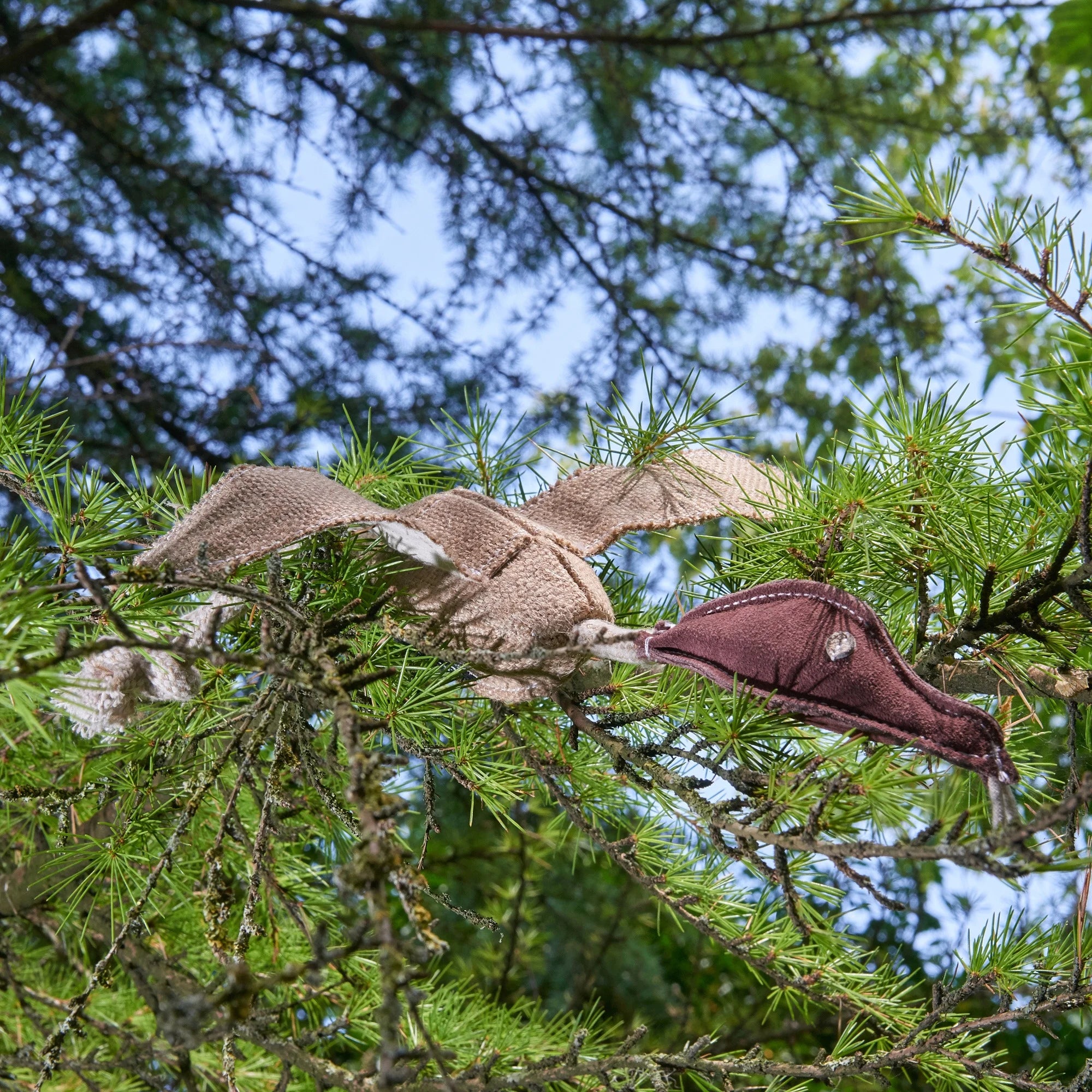 Eco Toy - Desmond the Duck