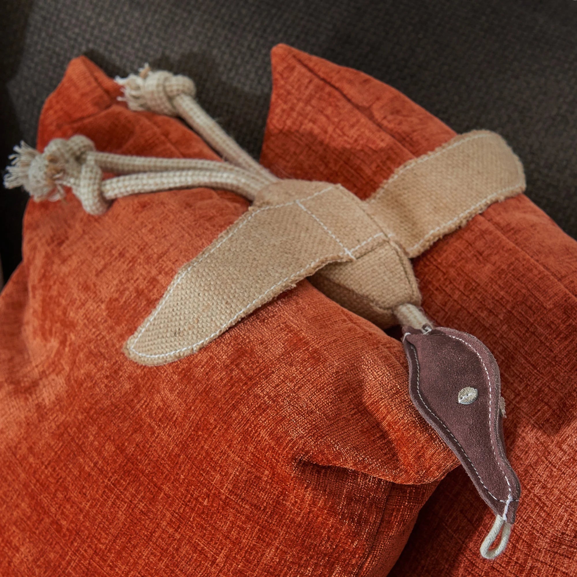 Eco Toy - Desmond the Duck