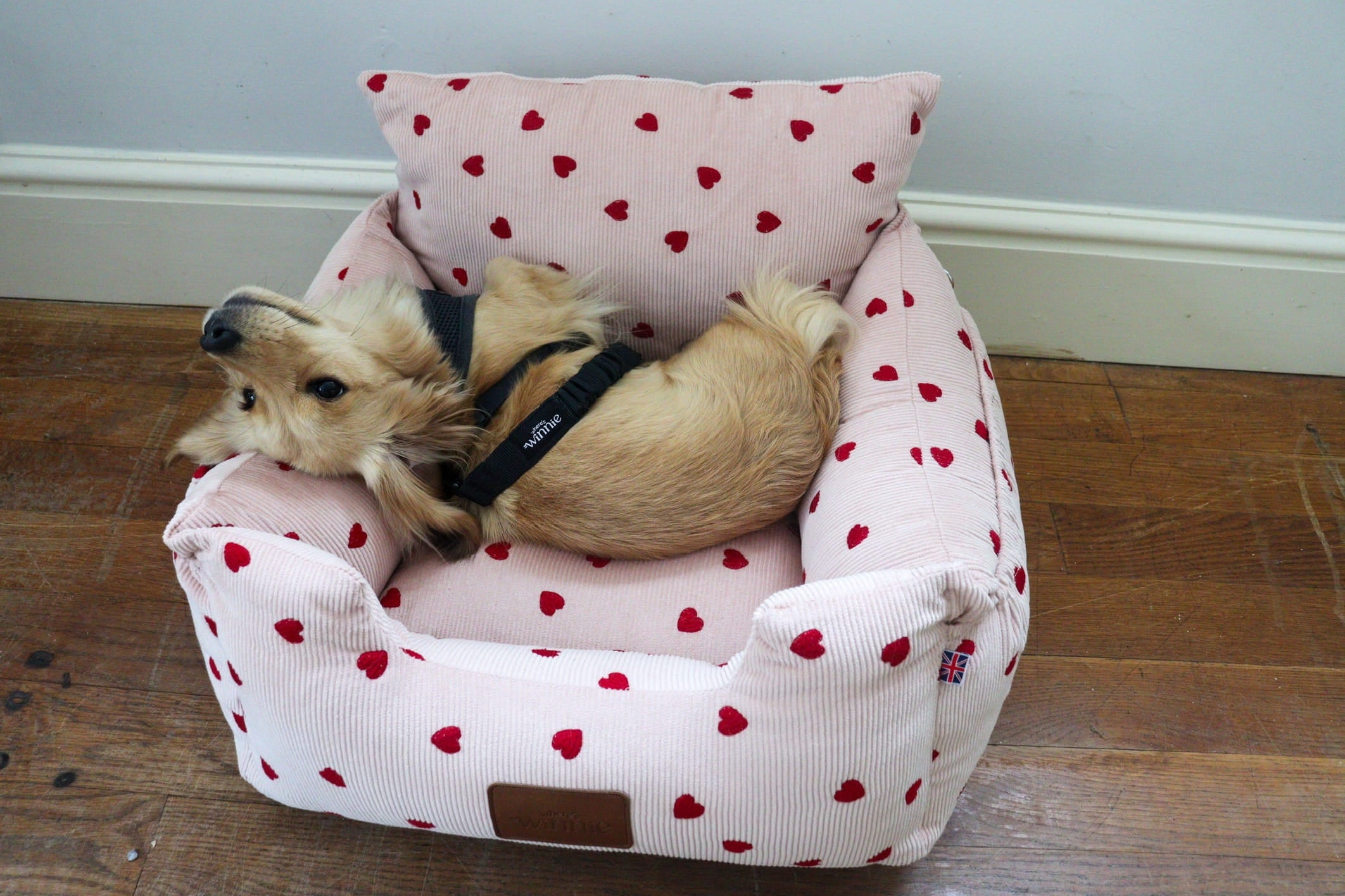 Luxury Isofix Dog Car Seat - Limited Edition Pink Hearts