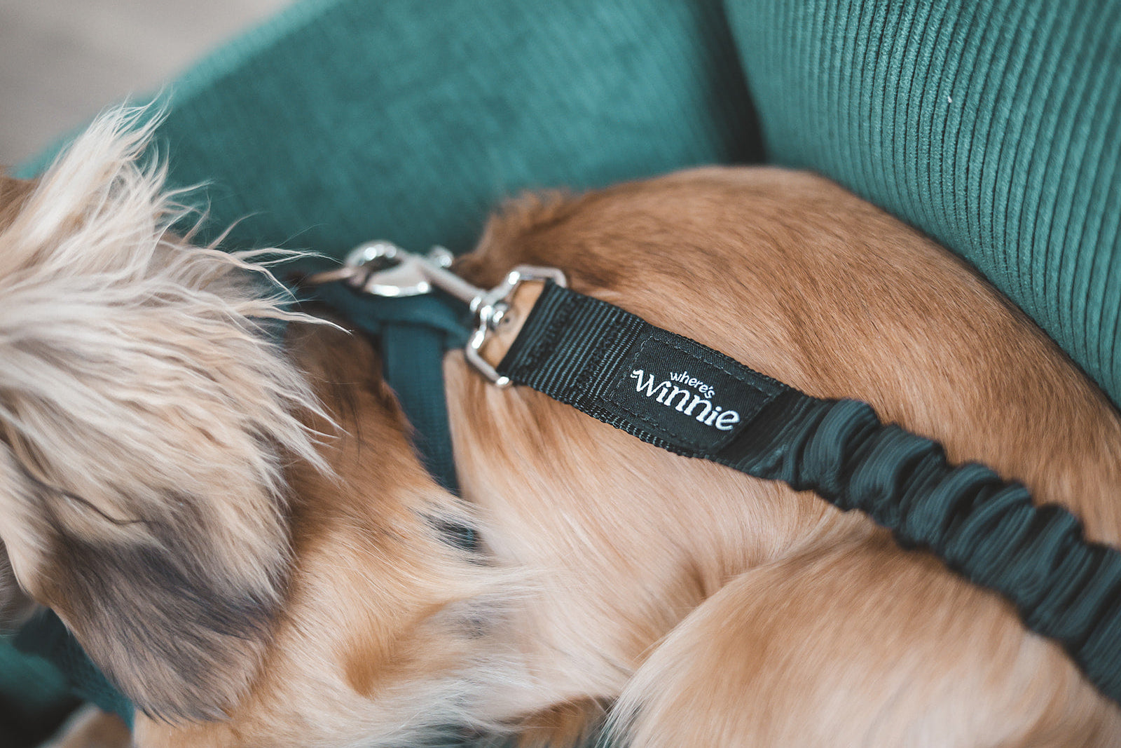 Luxury Isofix Dog Car Seat - Country Green