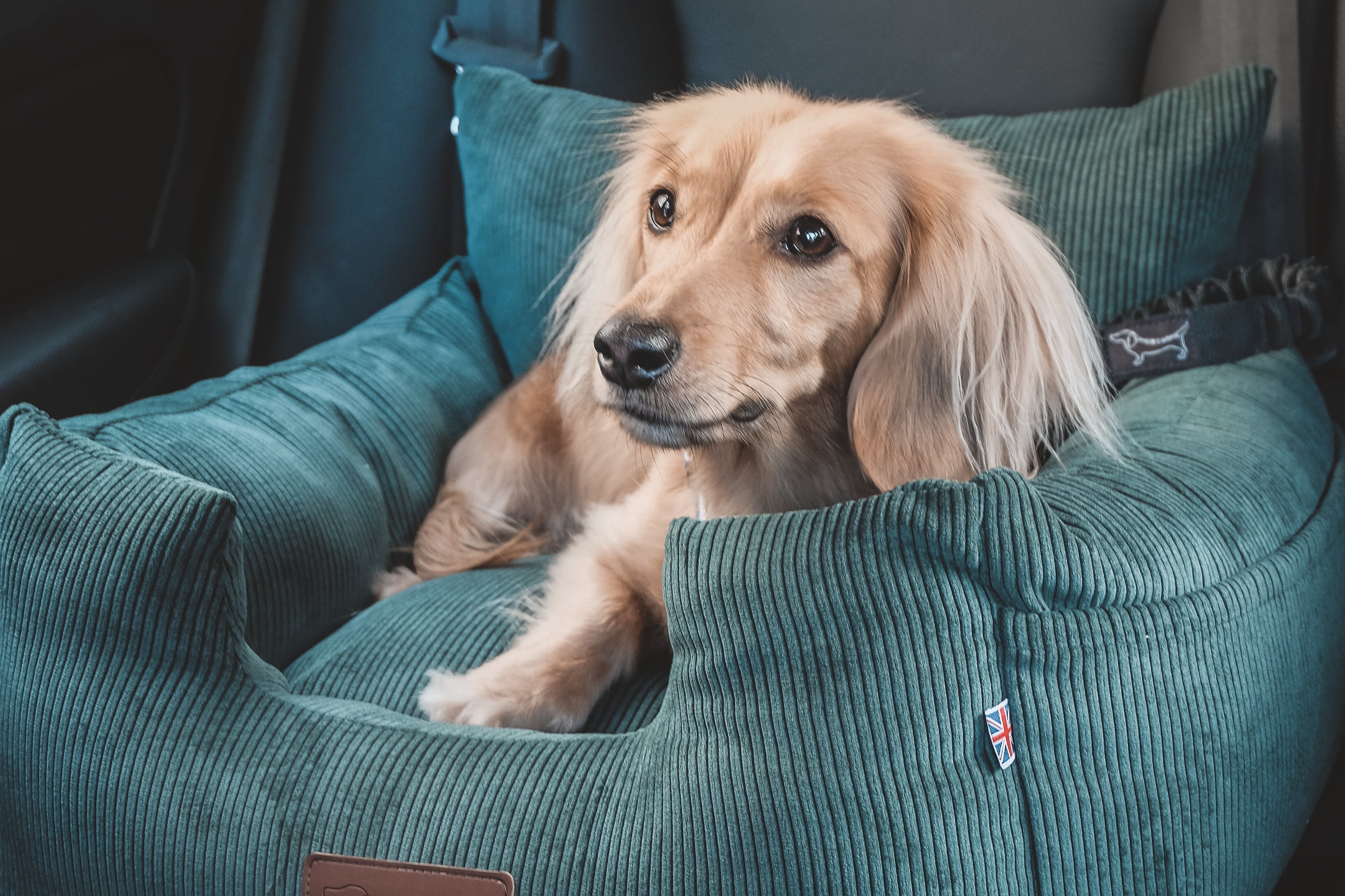 Luxury Isofix Dog Car Seat - Country Green