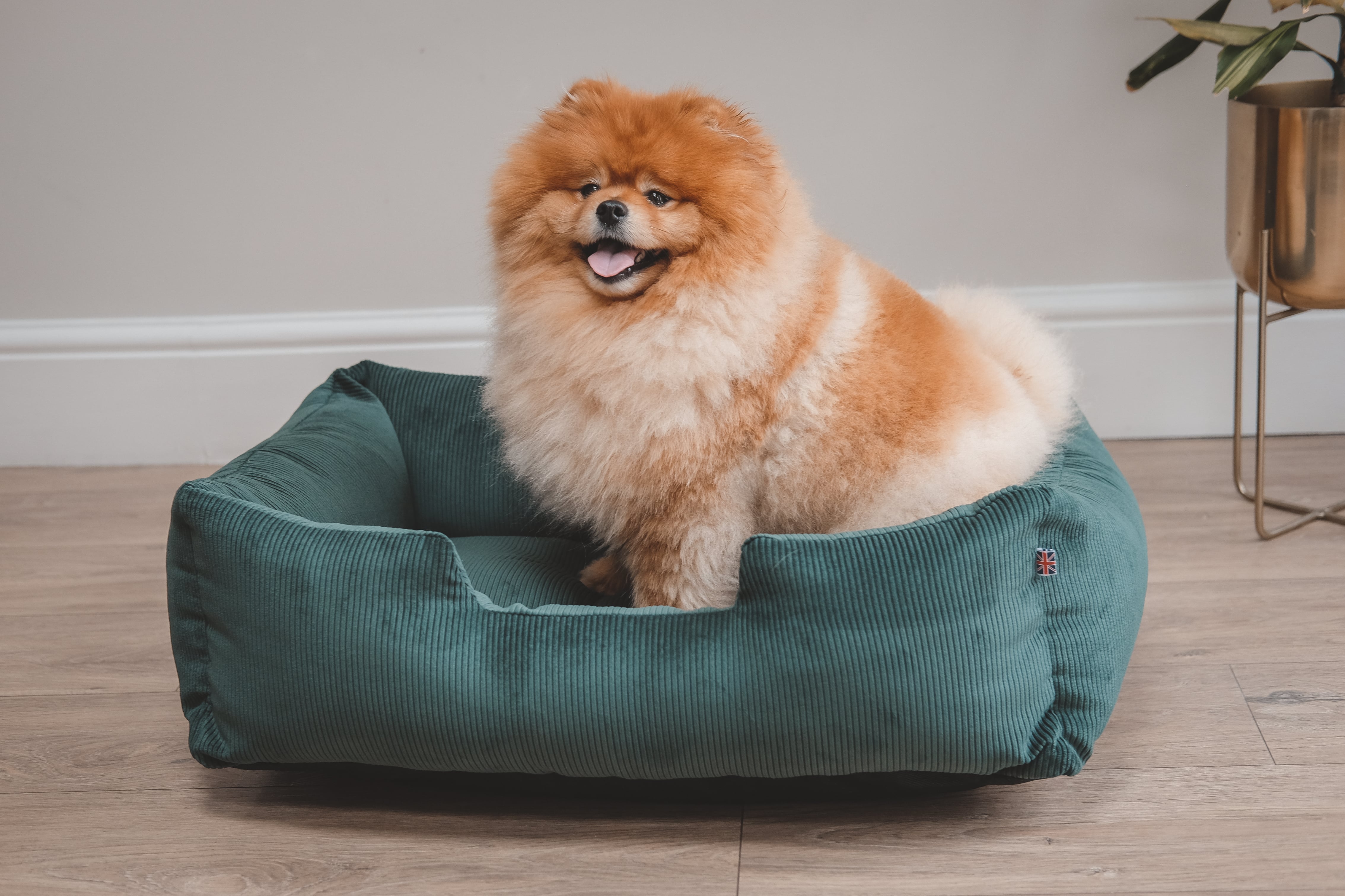Corduroy Dog Bed - Country Green