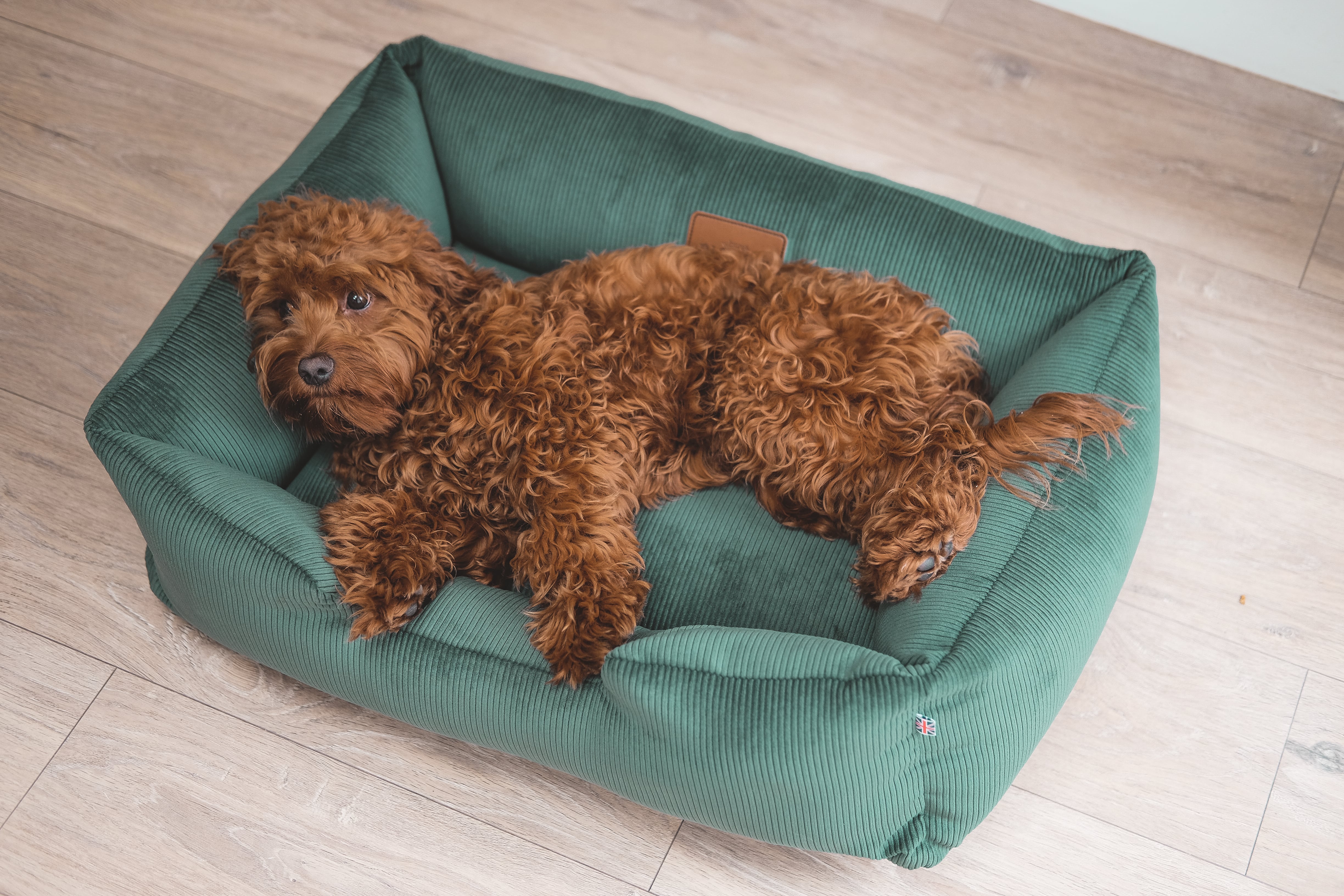 Corduroy Dog Bed - Country Green