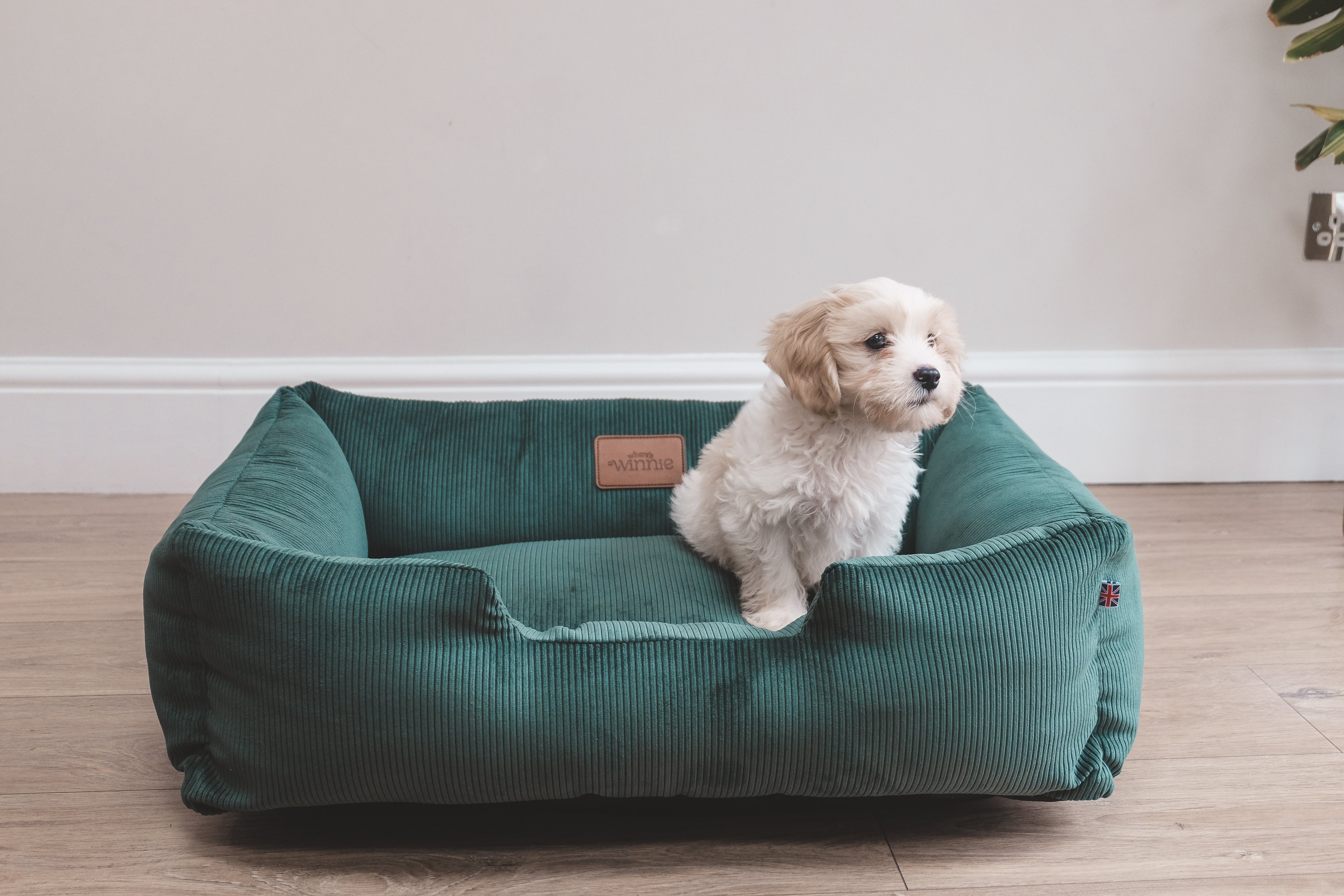 Corduroy Dog Bed - Country Green