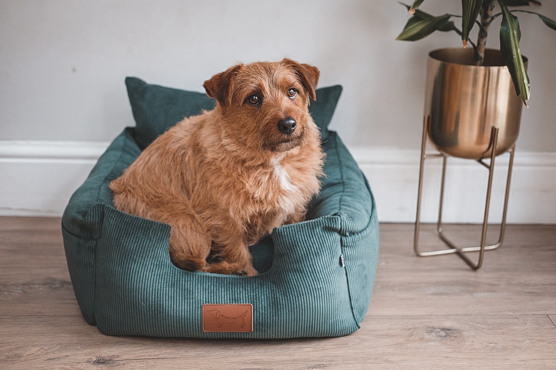 Luxury Isofix Dog Car Seat - Country Green