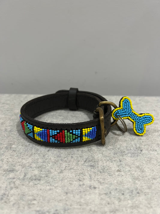 Dog Collar - Samburu Blue