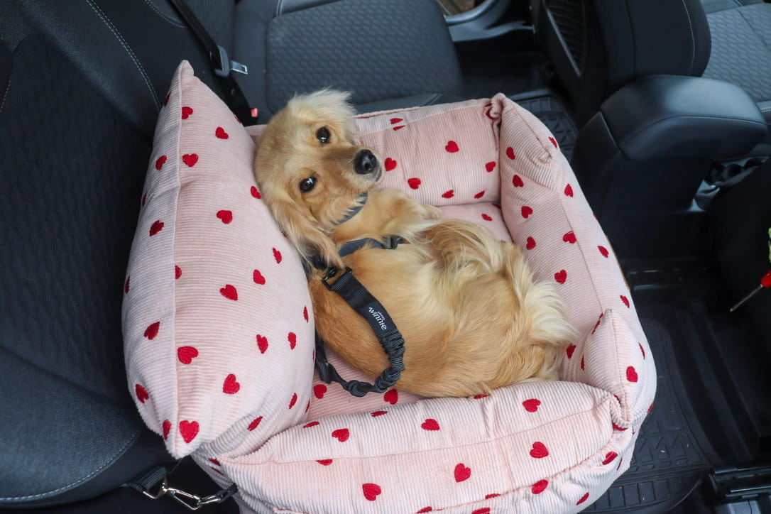 Luxury Isofix Dog Car Seat - Limited Edition Pink Hearts