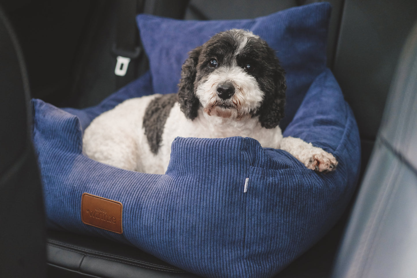 Luxury Isofix Dog Car Seat - Navy Blue
