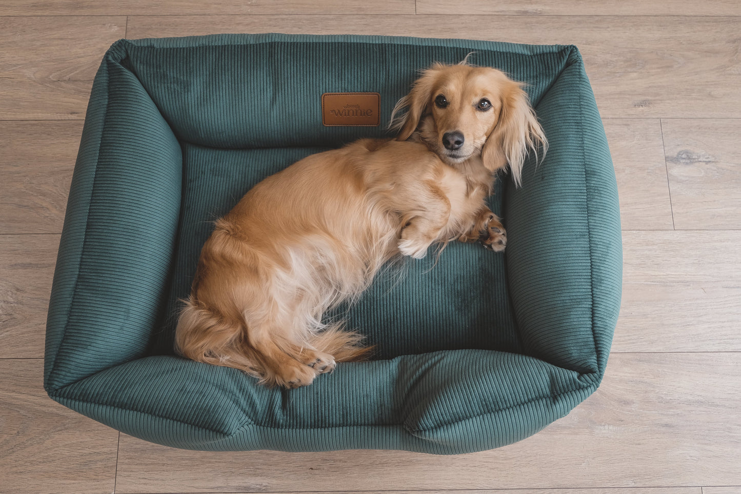 Corduroy Dog Bed - Country Green