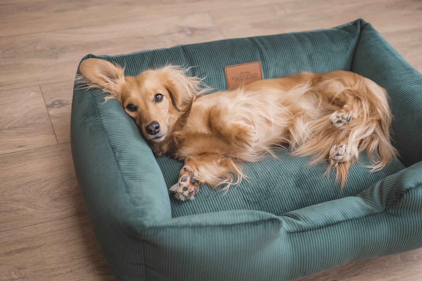 Corduroy Dog Bed - Country Green