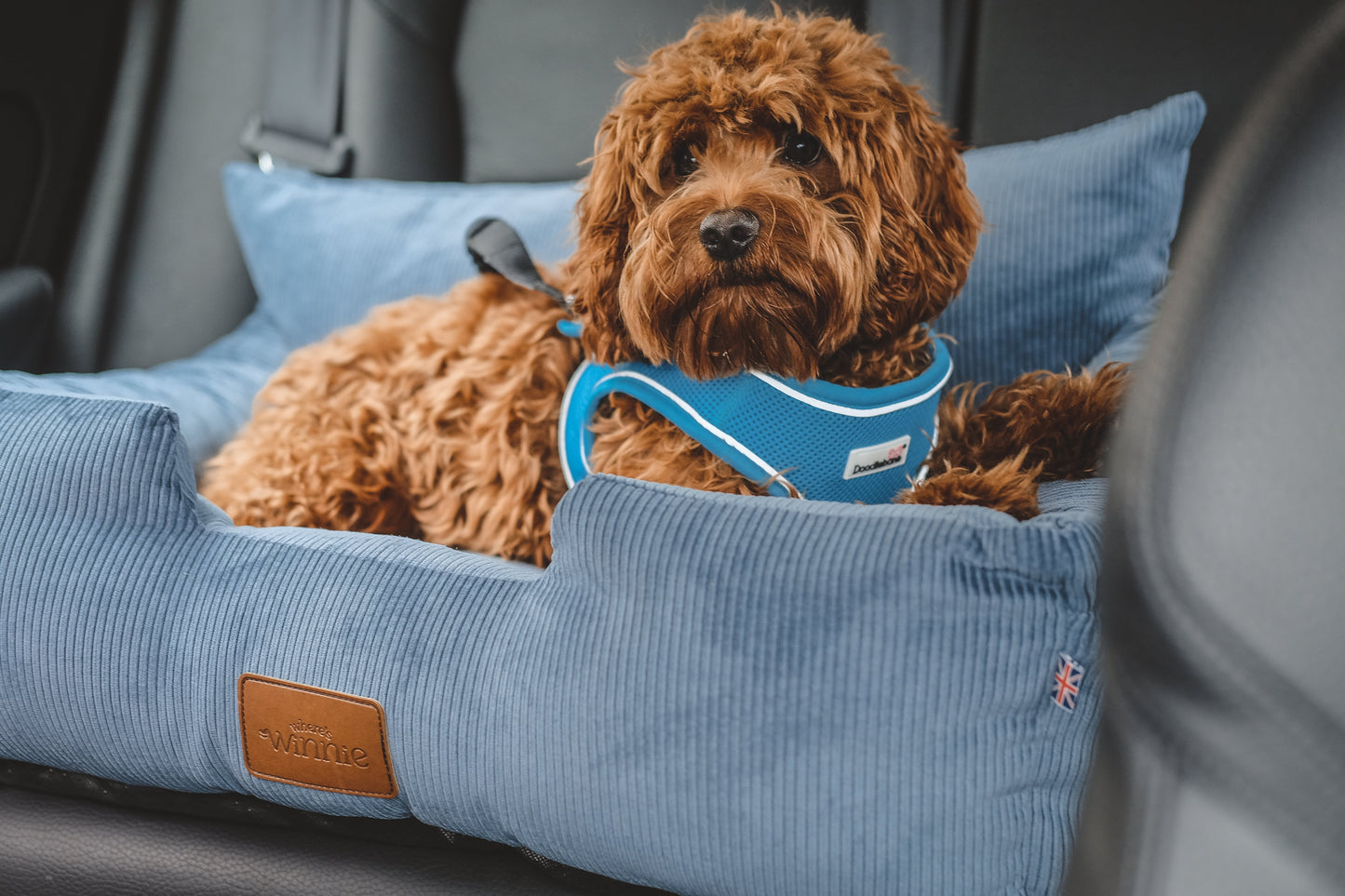 Luxury Large Dog Car Seat - Denim Blue