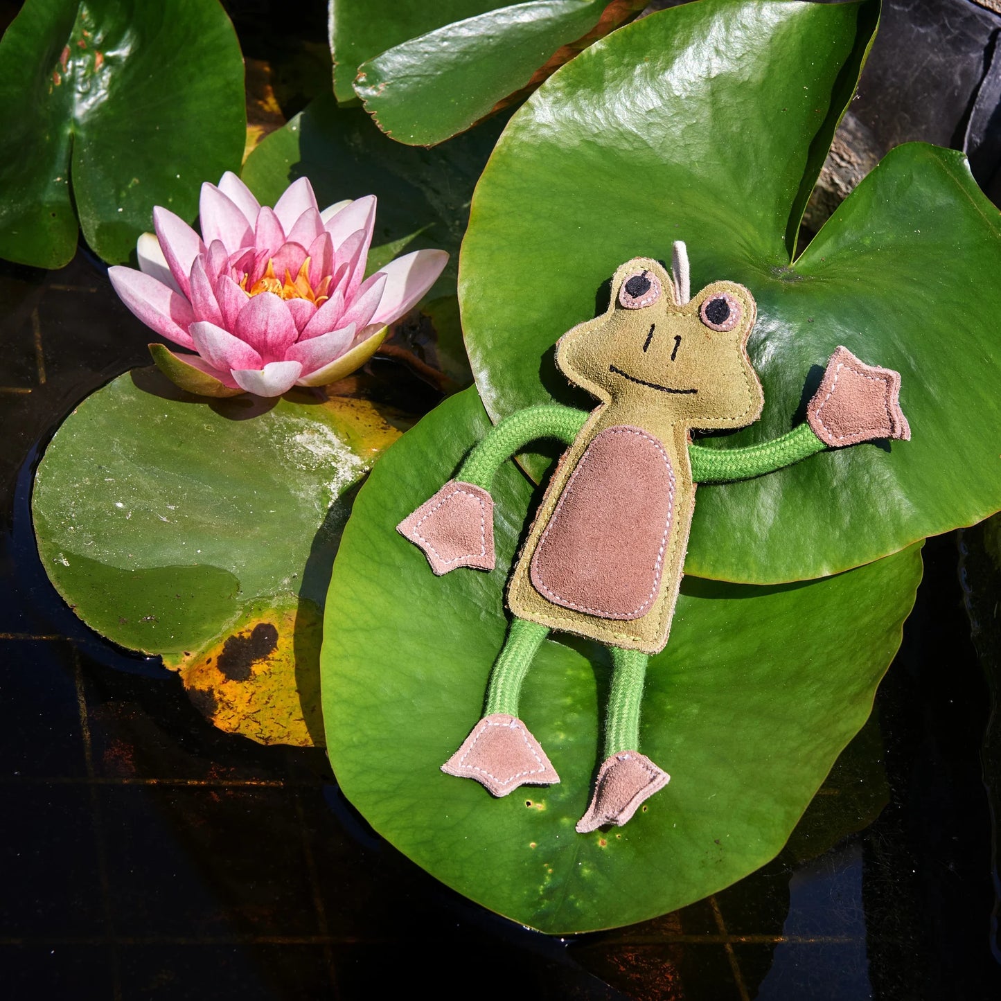 Eco Toy - Francois Le Frog