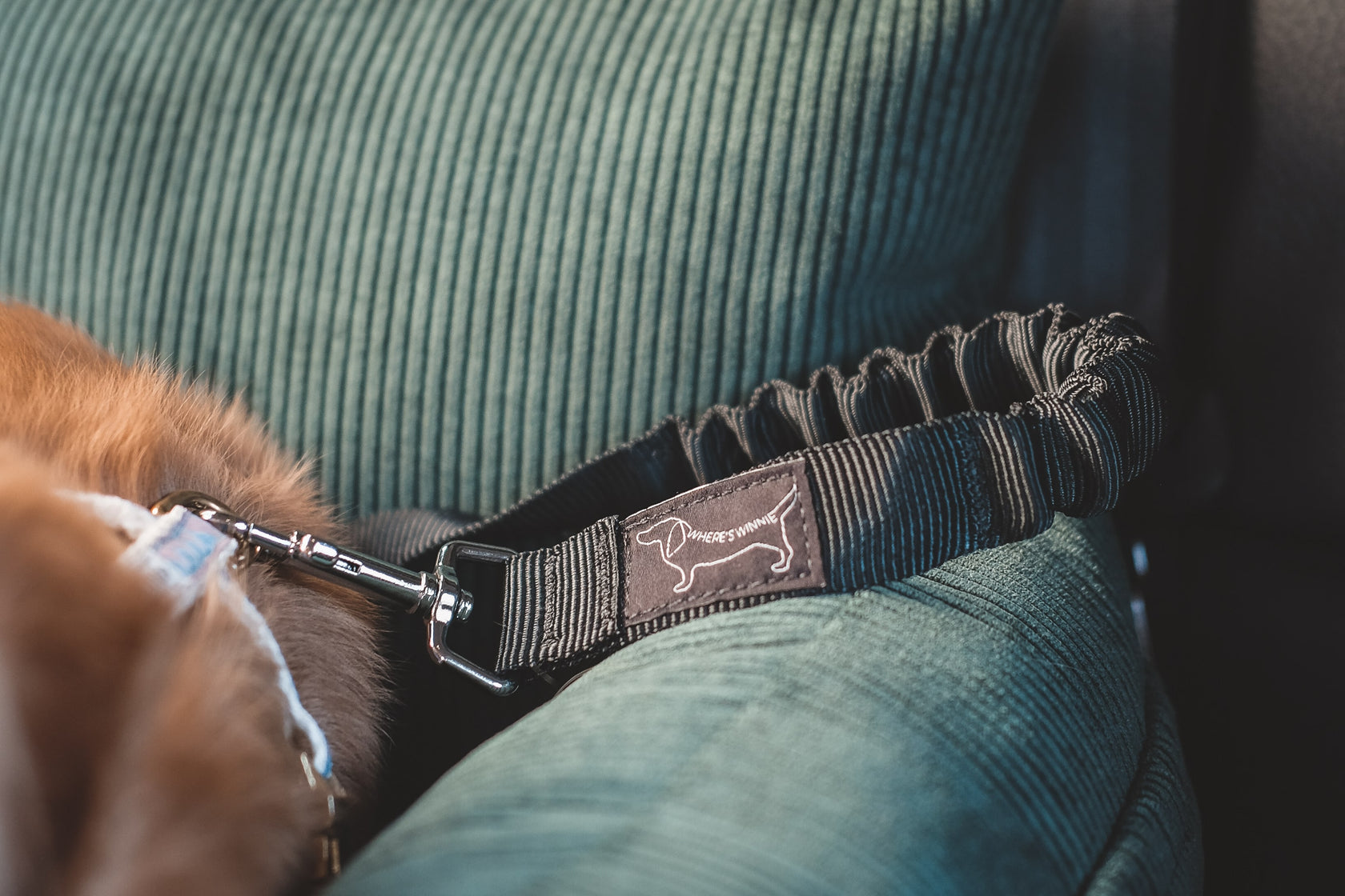 Luxury Isofix Dog Car Seat Country Green Where's Winnie