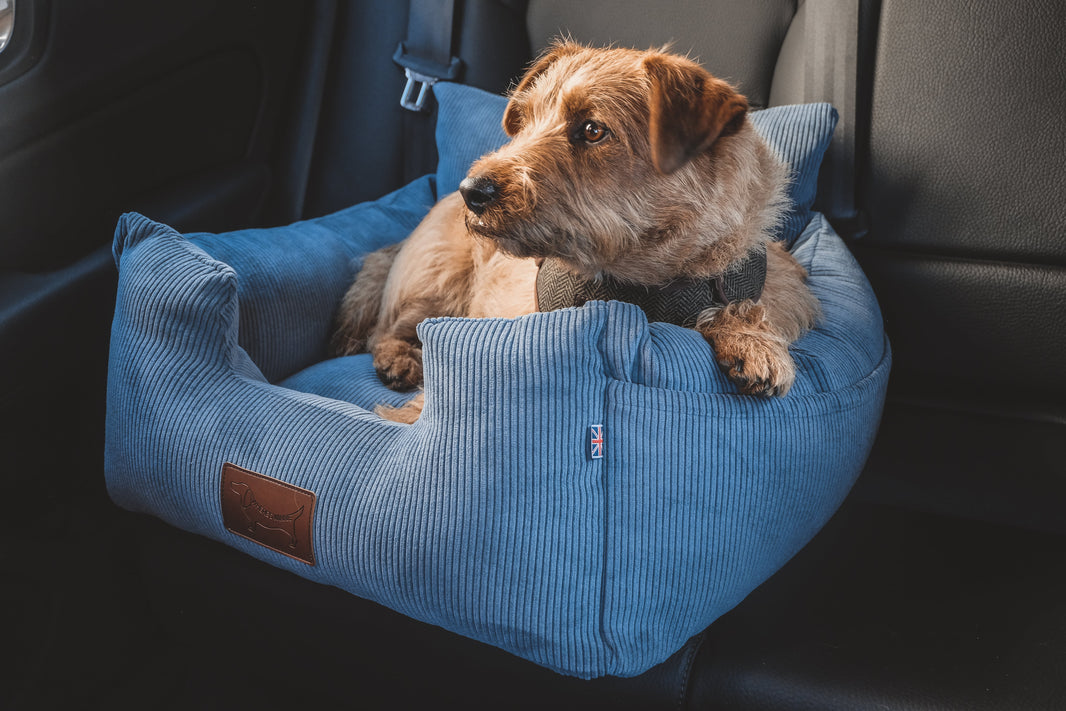 Luxury Isofix Dog Car Seats – Where's Winnie