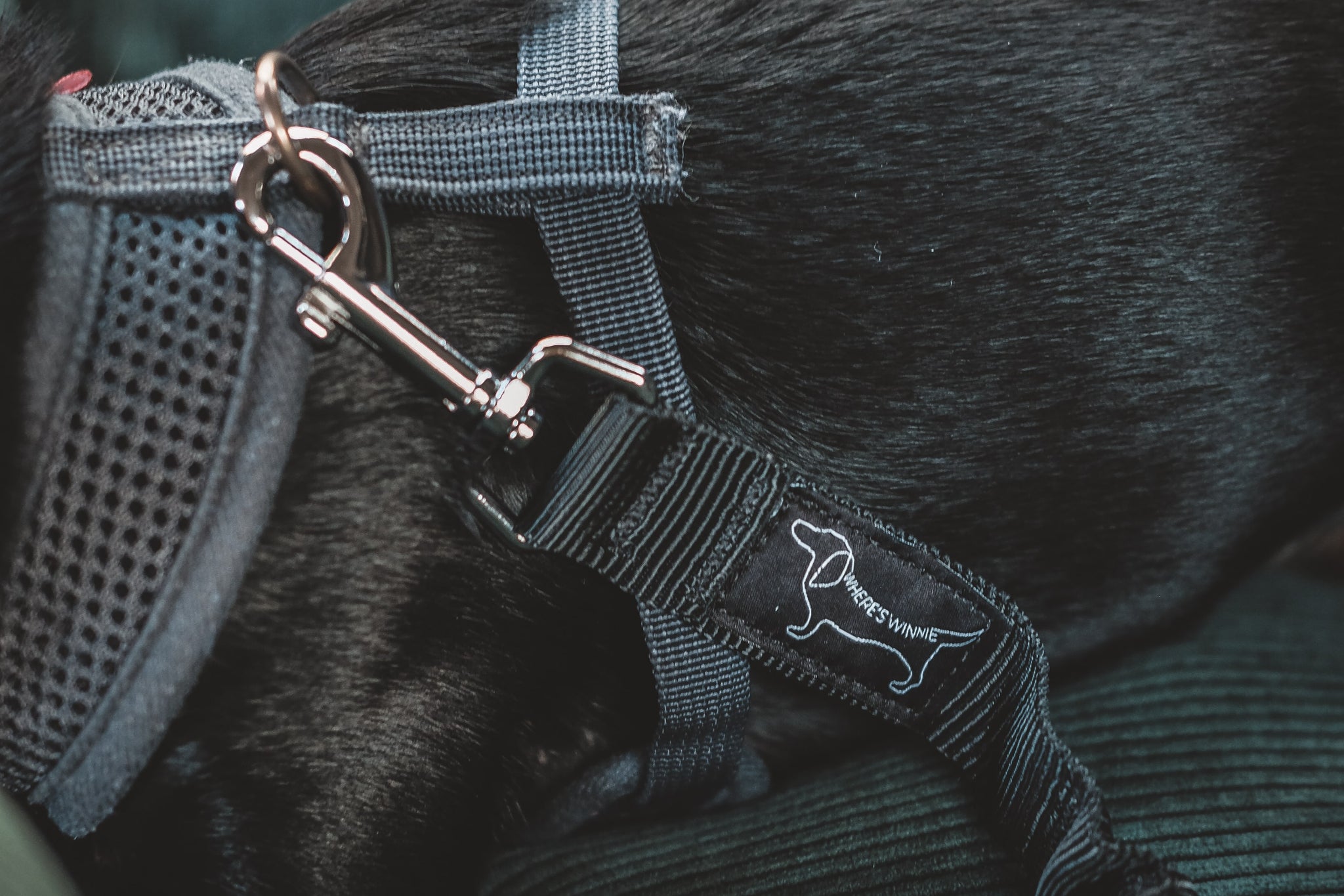 Luxury Isofix Dog Car Seat Country Green Where's Winnie