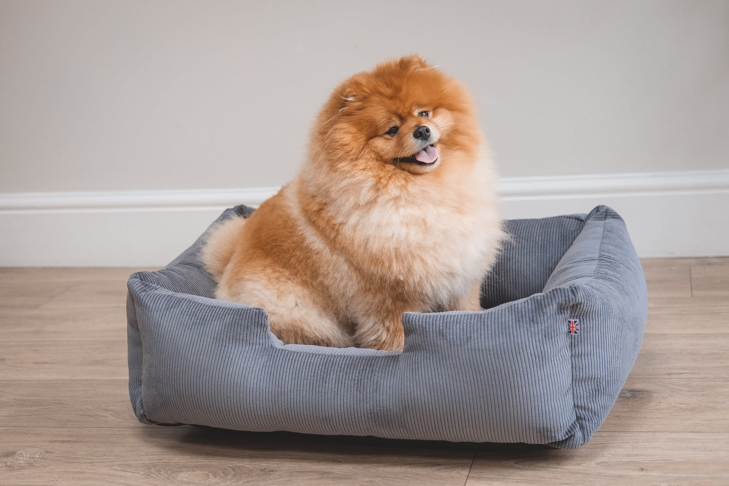 Chilli dog beds online