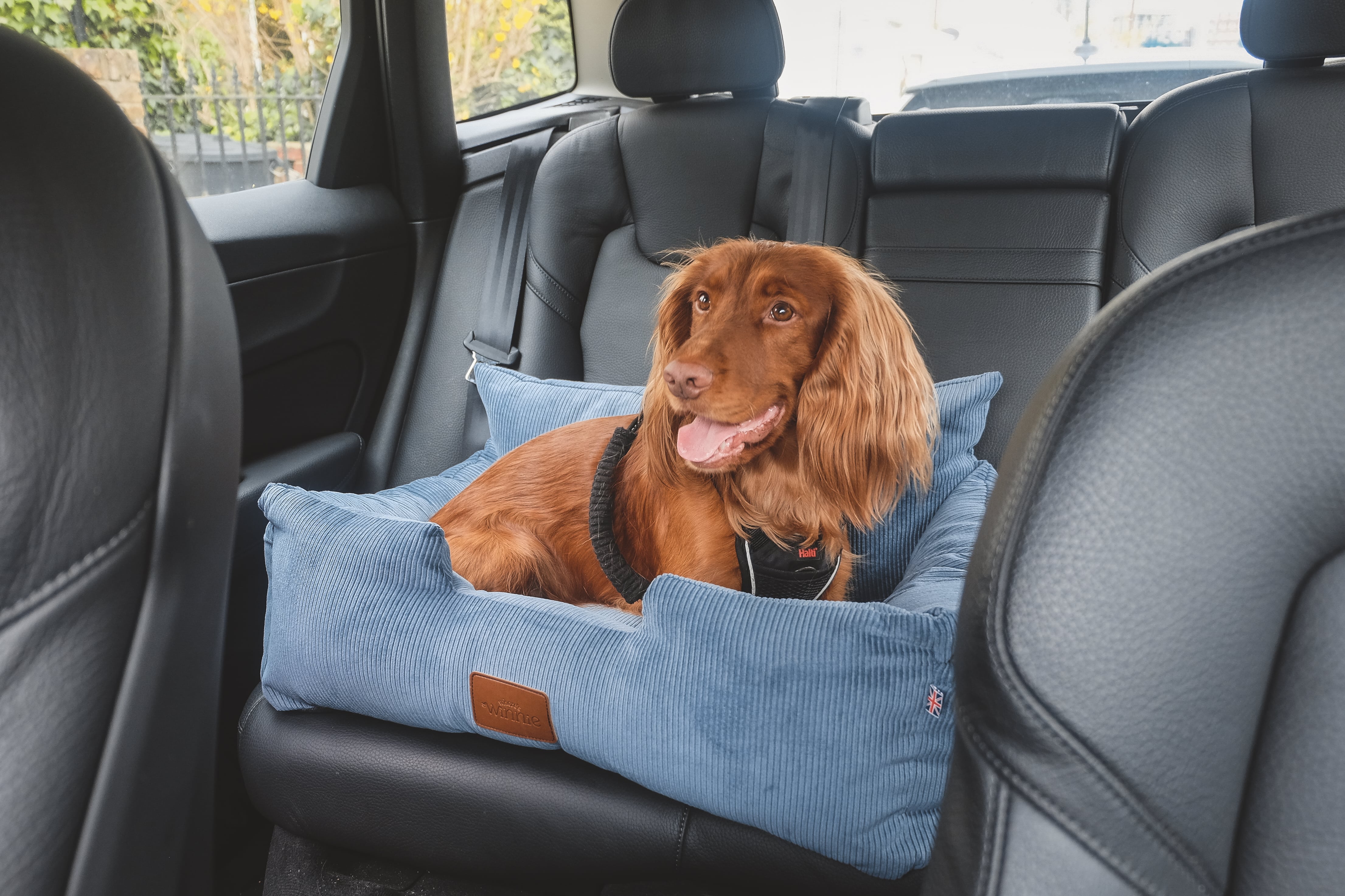 Vip Seating Dogs Where's Winnie Luxury Dog Car Seats