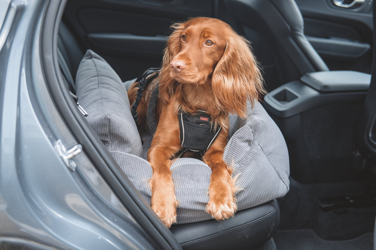 Luxury Large Dog Car Seat - Gunmetal Grey