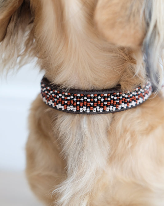 Dog Collar - Borana