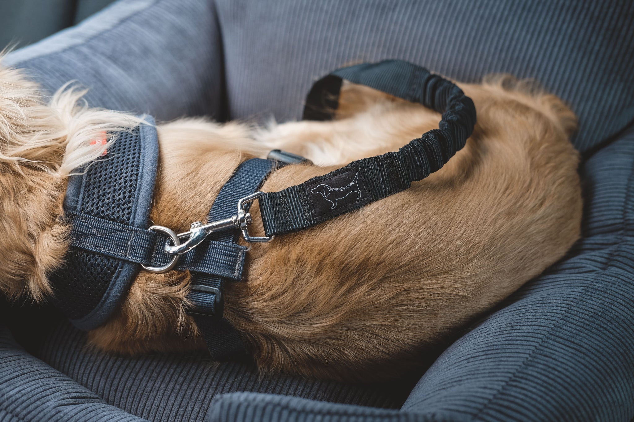 Luxury Isofix Dog Car Seat Gunmetal Grey Where's Winnie