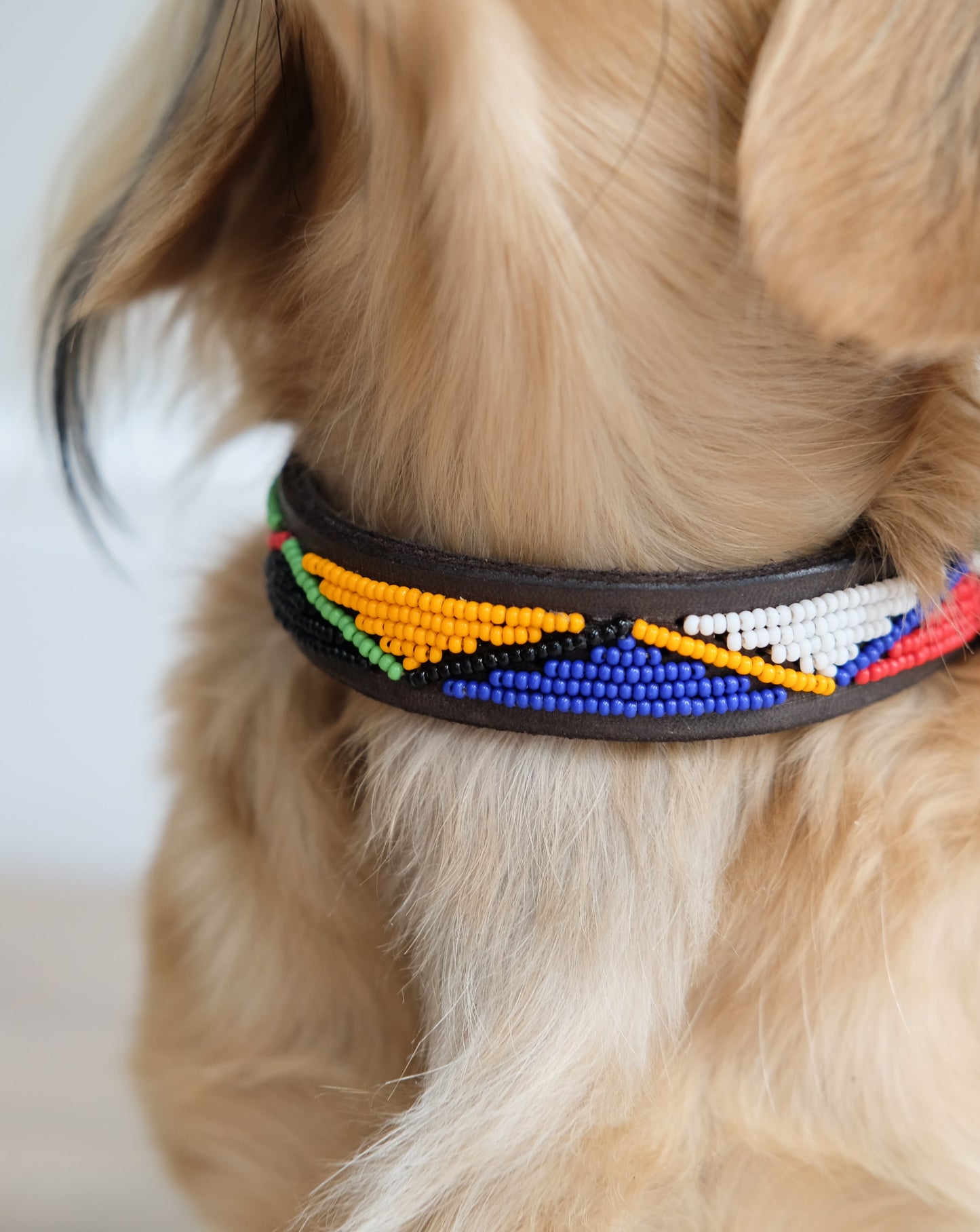 Dog Collar - Maasai