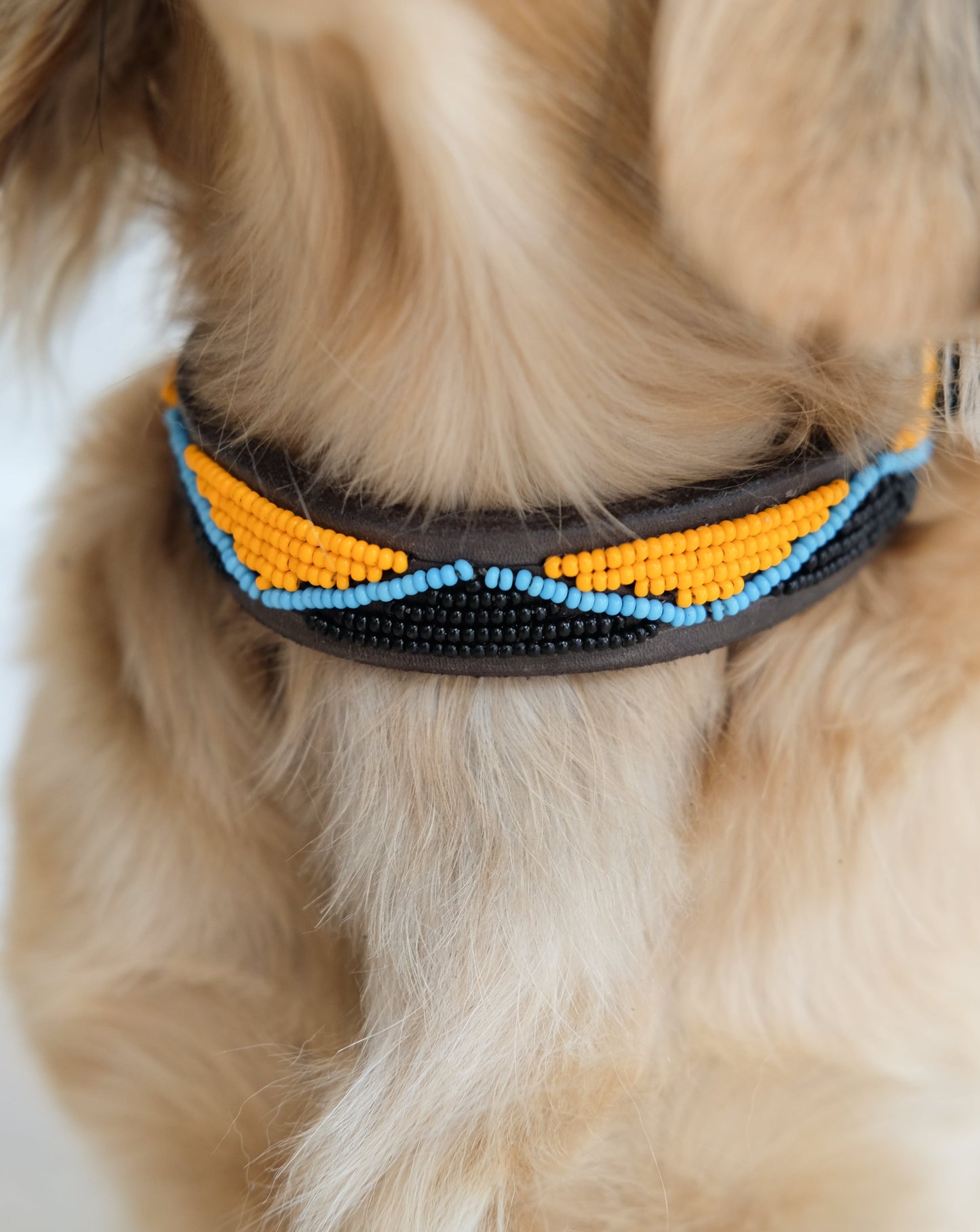 Dog Collar - Maasai Black
