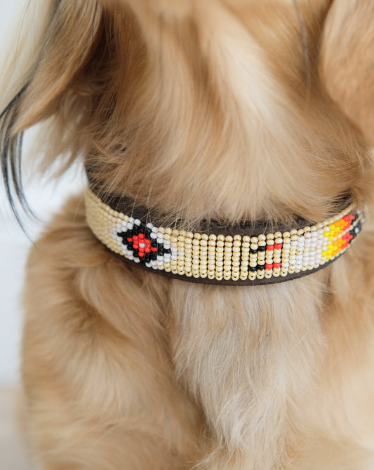 Dog Collar - Taos